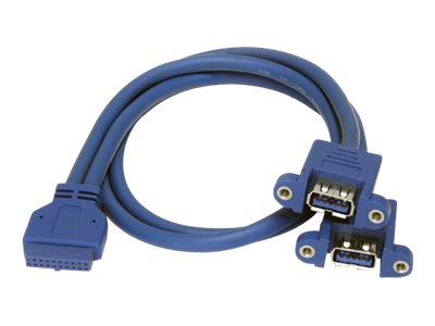  STARTECH.COM  Cable Extensor 50cm 2 Puertos USB 3.0 para Montaje en Panel conexión a Placa Base - Hembra USB A - cable USB interno a externo - USB Tipo A a IDC de 20 clavijas - 50 cmUSB3SPNLAFHD