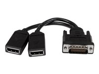 StarTech.com DMS-59 to DisplayPort - 8in - DMS 59 to 2x DP - Y Cable - DMS-59 Adapter - DisplayPort Splitter Cable - LFH Cable (DMSDPDP1) - separador para pantalla - 20.3 cm