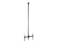 StarTech.com Soporte de Techo VESA para Montaje de Pantallas y TV de 32 a 75 Pulgadas con Mástil de hasta 3m - Ajustable - abrazadera - para pantalla plana - negro