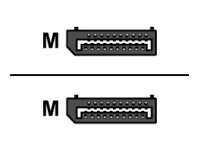  VERTIV  - cable DisplayPort - DisplayPort a DisplayPort - 1.8 mCBL0188T