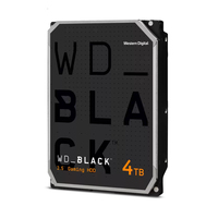 4TB BLACK 256MB                INT3.5IN SATA III 6GB/S 7200RPM WD4006FZBX
