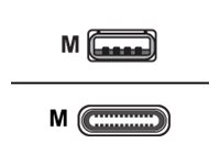 Zebra - cable USB de tipo C - USB a USB-C CBL-MPM-USB1-01
