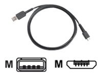 Zebra - cable USB - USB a Micro-USB tipo B